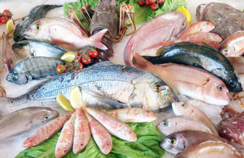 Recomienda IMSS extremar cuidados en consumo de pescados y mariscos