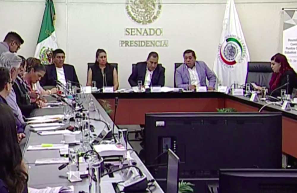 Aprueba Morena la Guardia Nacional en Comisiones del Senado, sin la oposición