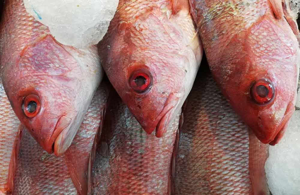 Recomendaciones para consumir productos del mar saludables en Cuaresma