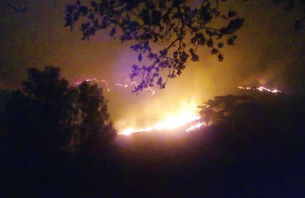 Asegura Coesfo que controló 5 incendios, pero siguen activos 7