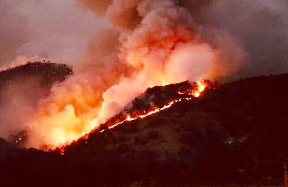 Provoca el calor 7 incendios forestales en la entidad oaxaqueña