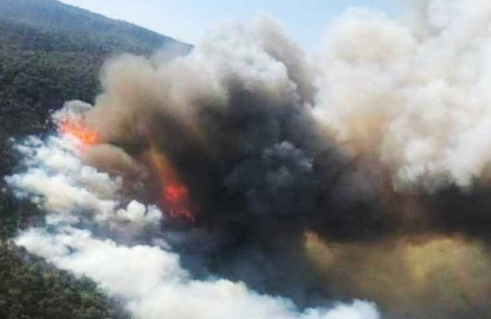 Consumen 172 incendios más de 9 mil hectáreas de bosques en Oaxaca