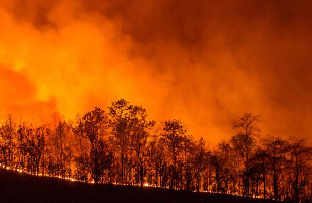 Suspenden clases este lunes en 2 municipios de Sierra Sur por incendio