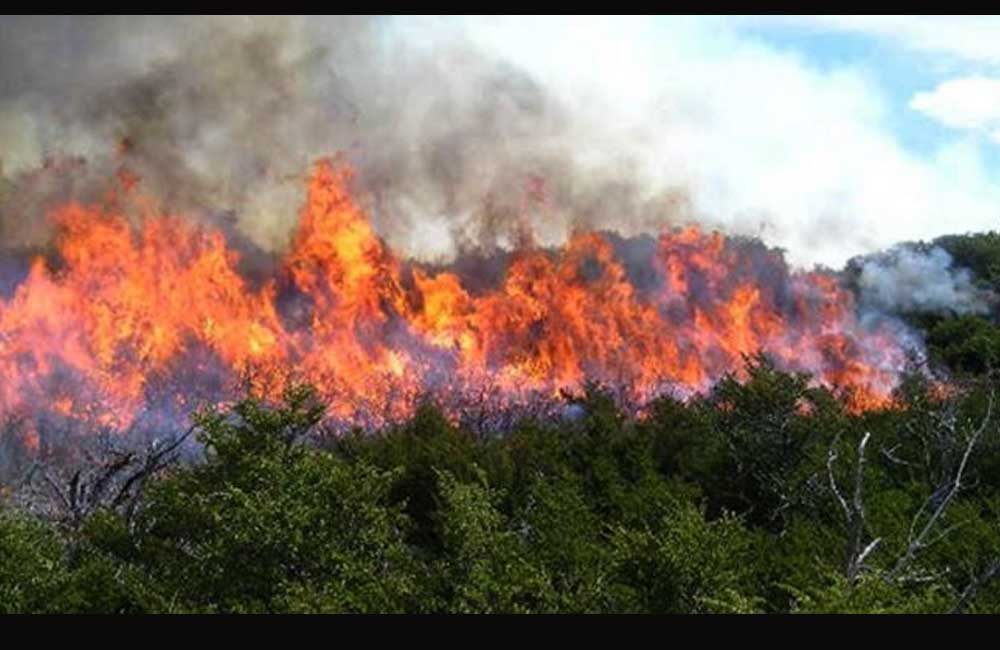Combaten 7 incendios forestales activos; en Chimalapas van al 95%: Coesfo