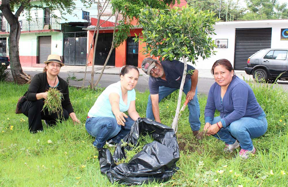 Periodistas, colonos y autoridades hacen ‘tequio’ en la Colonia Morelos