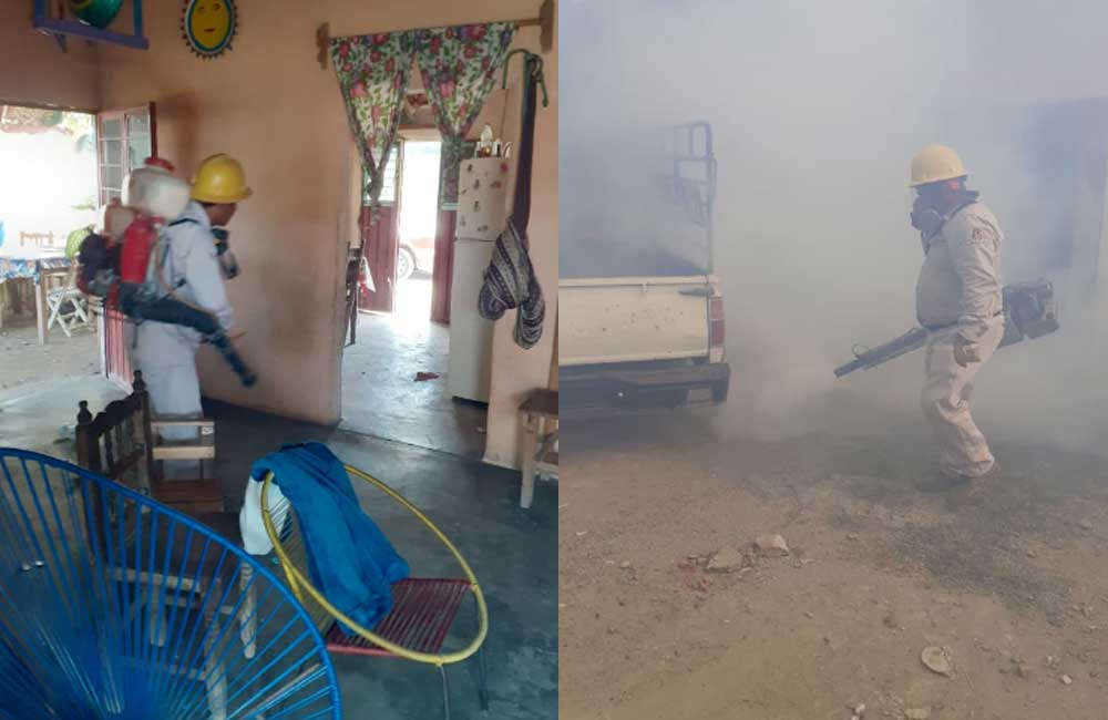 Descarta SSO contingencia sanitaria por Dengue en Istmo de Tehuantepec