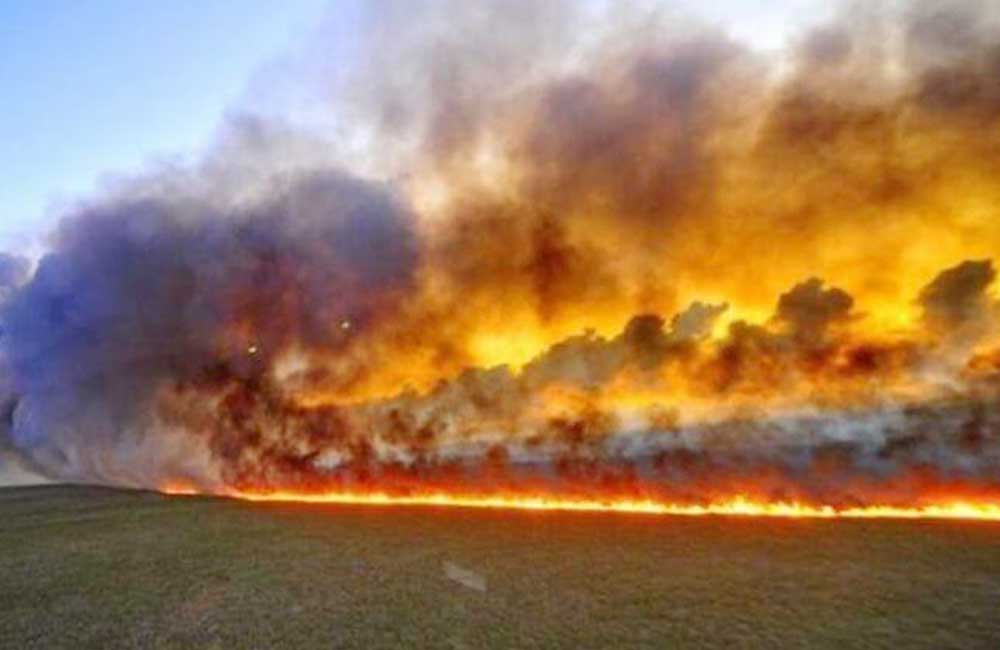 Crimen ambiental en Amazonia brasileña; van 16 días de incendios forestales