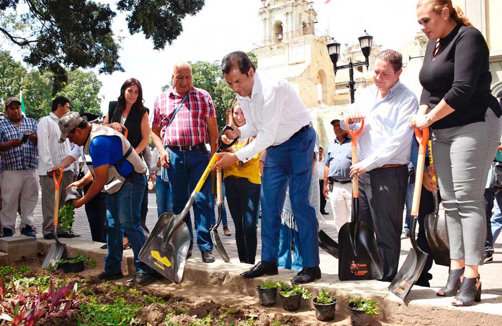 Preside Oswaldo García siembra de 48 mil plantas en el Zócalo de CdOax