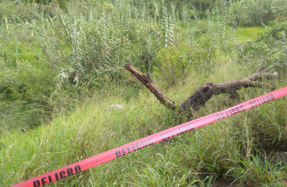 Encuentran a persona muerta, sin partes de su cuerpo, entre carrizales del Atoyac