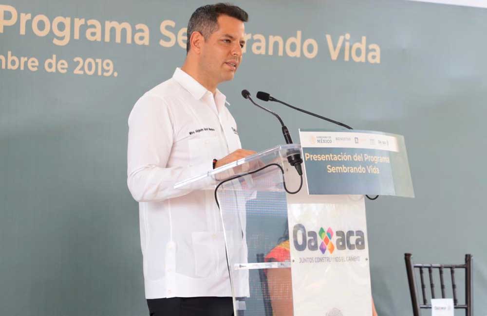 Gobiernos de Oaxaca y federal ponen en marcha el Programa ‘Sembrando vida’