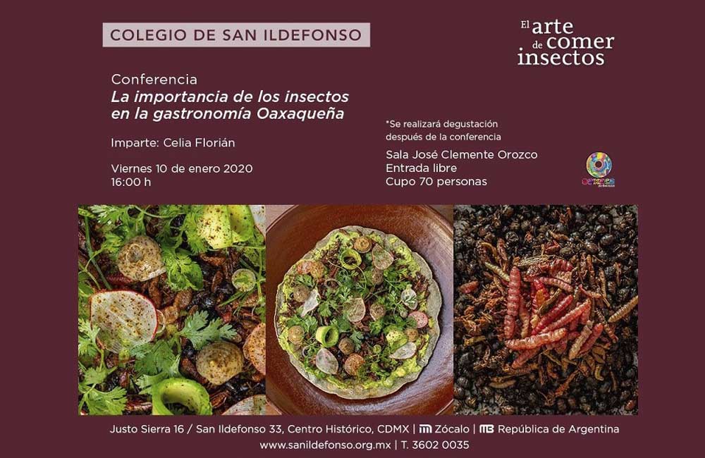Participa Oaxaca en la exposición ‘El arte de comer insectos’, en CdMx