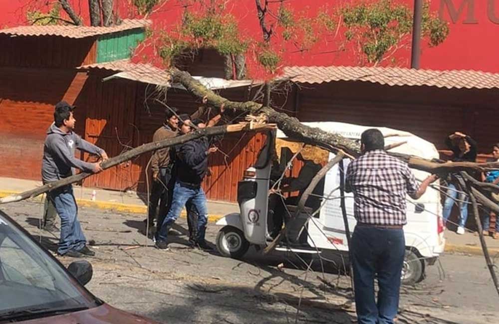 Reportan los primeros daños por efecto del ‘Evento de Norte’ en Oaxaca