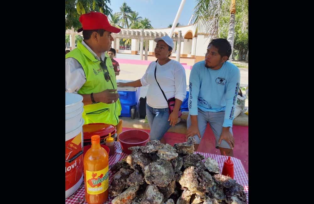Levantan la veda sanitaria por ‘Marea Roja’ en la Costa de Oaxaca