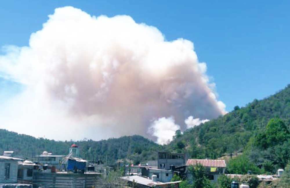 Declaran a 2 municipios de Oaxaca en ‘emergencia’ por incendios forestales