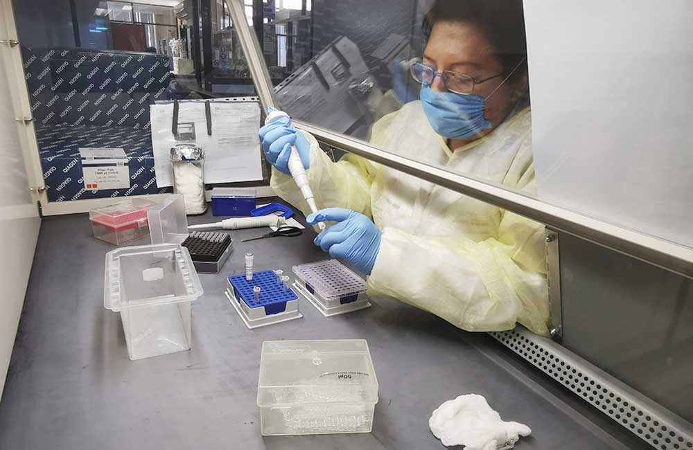 Laboratorio estatal puede procesar hasta 40 muestras de Covid-19 en 5 horas: SSO