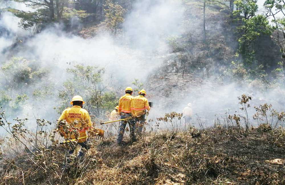 Pide Gobierno estatal a Federación declarar ’emergencia por incendios’ en 9 municipios