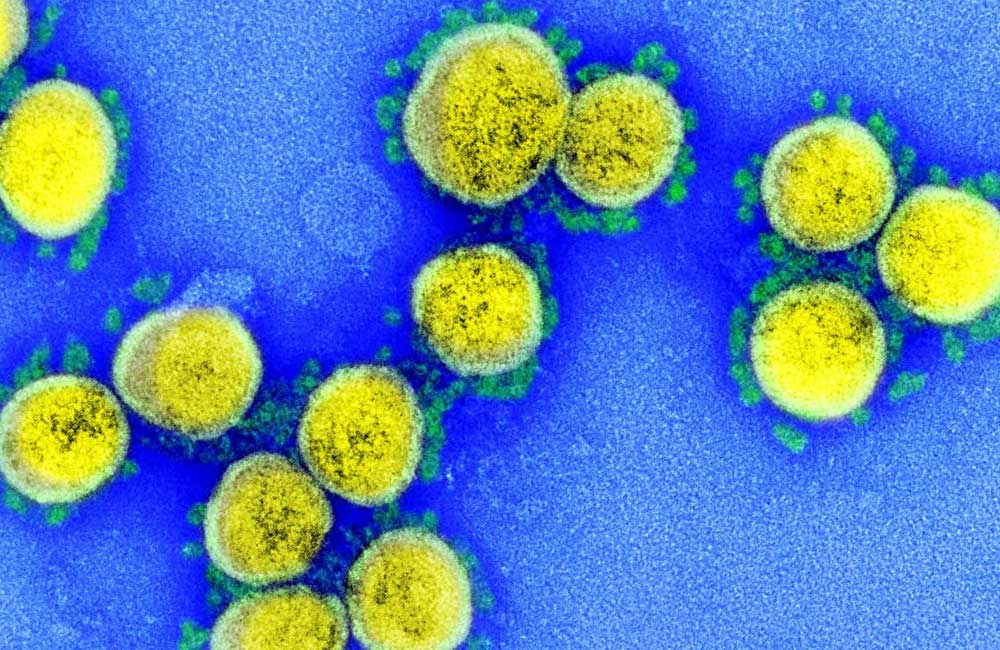 El virus del Covid-19 ni se creó ni se escapó de un laboratorio: Expertos