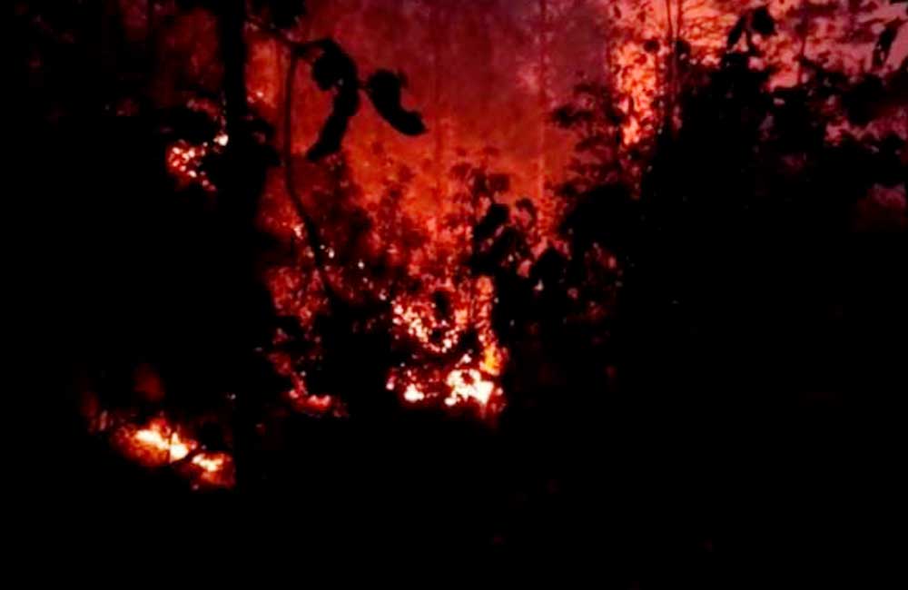 Declara Gobierno federal emergencia por incendios forestales en Ayutla Mixes