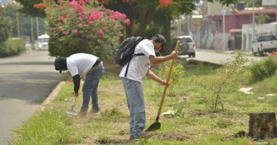 Suspende Ayto citadino programa de empleo hasta que lo permita la pandemia Suspende Ayto citadino programa de empleo hasta que lo permita la pandemia