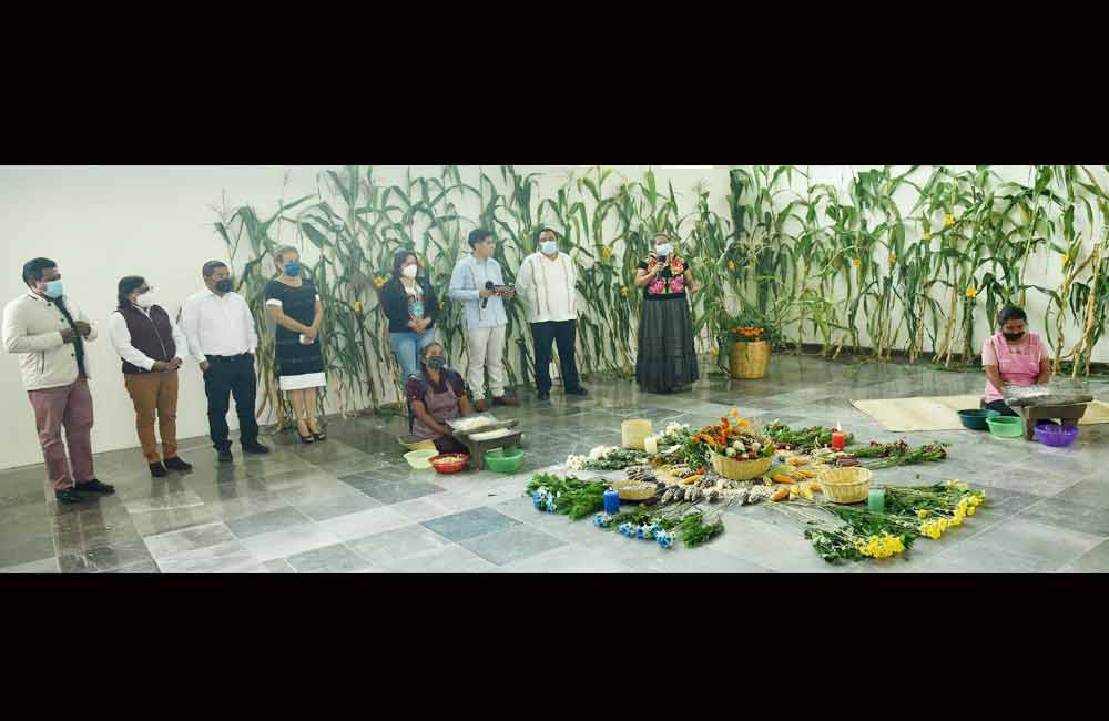 Políticas públicas para defender el maíz nativo, exige el diputado Horacio Sosa
