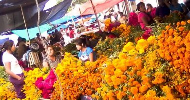 Rechaza Ayto autorizar más puestos en Mercado de Abasto por ‘Día de Muertos’ Rechaza Ayto autorizar más puestos en Mercado de Abasto por ‘Día de Muertos’