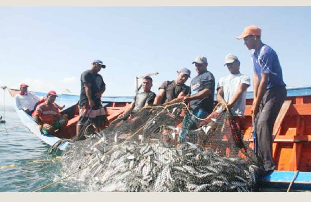 Otorga Congreso estatal protección jurídica a la pesca artesanal