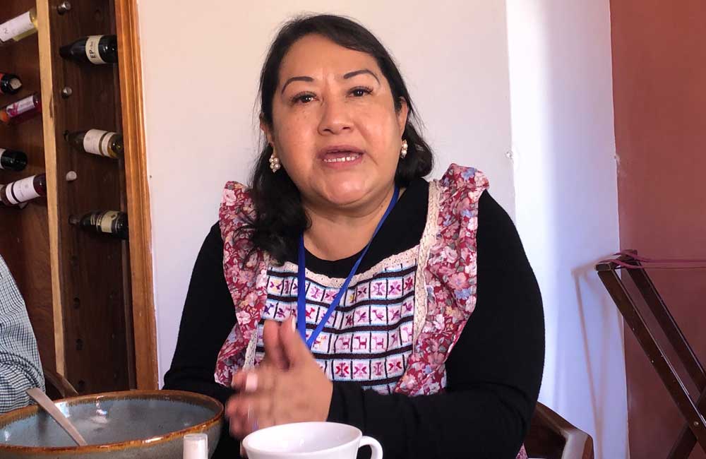 Fuerza por México se jugará el todo por el todo en Oaxaca: Salomé Martínez