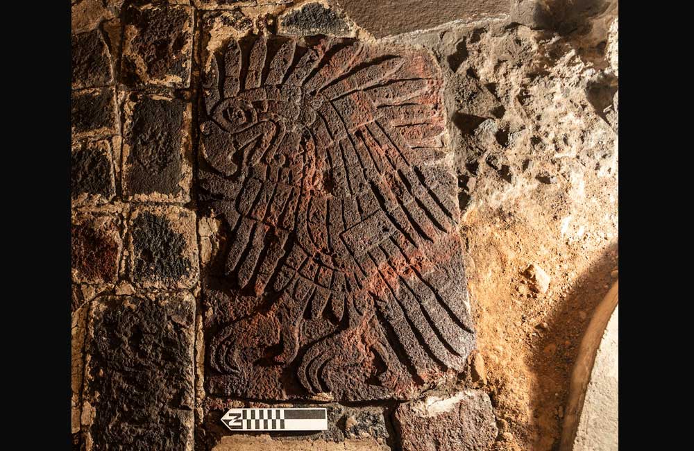 Investiga INAH bajorrelieve de águila real descubierto en Templo Mayor