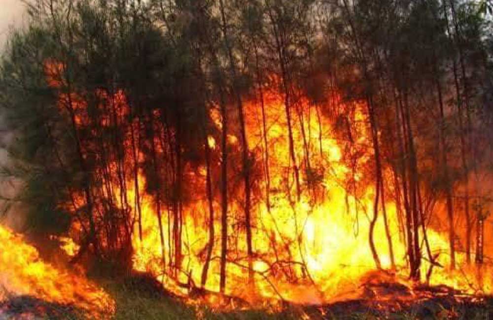 Liquida Coesfo incendio registrado en San Bartolo Coyotepec