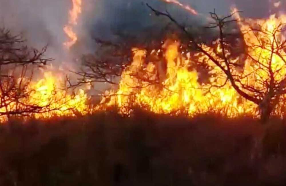 Declara CEPCO a cinco municipios en emergencia por incendios en Oaxaca