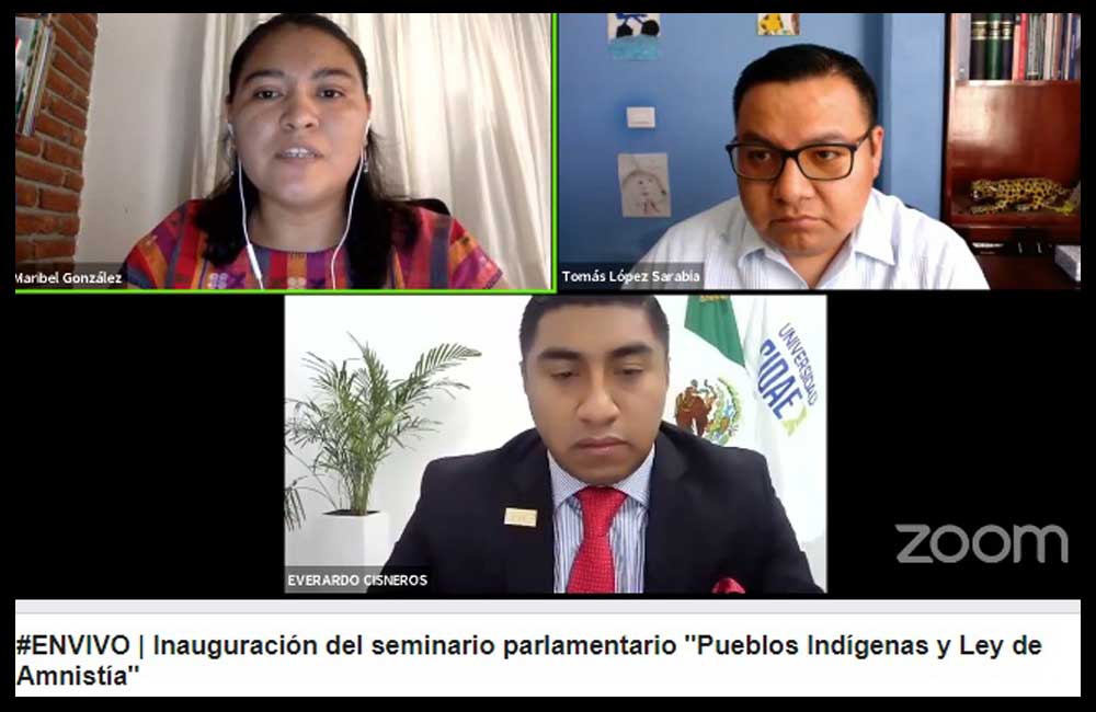 “Pueblos Indígenas y Ley de Amnistía”, un seminario virtual del Congreso