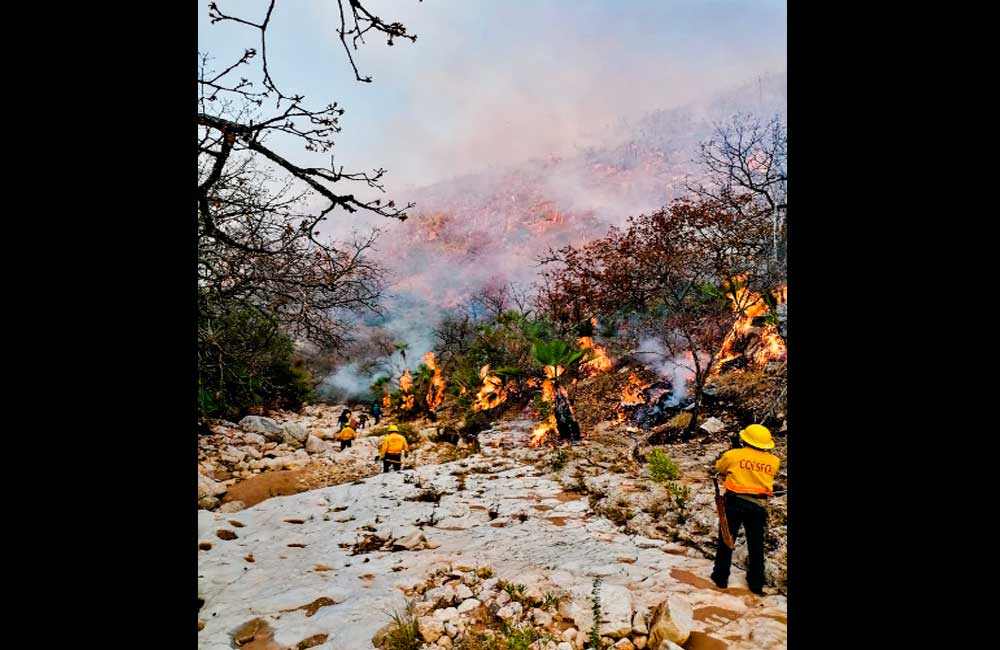Apagan incendio de Magdalena Jaltepec; duró 6 días y afectó 200 hectáreas