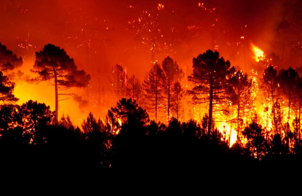Estado de emergencia en 13 municipios de Oaxaca por incendios forestales
