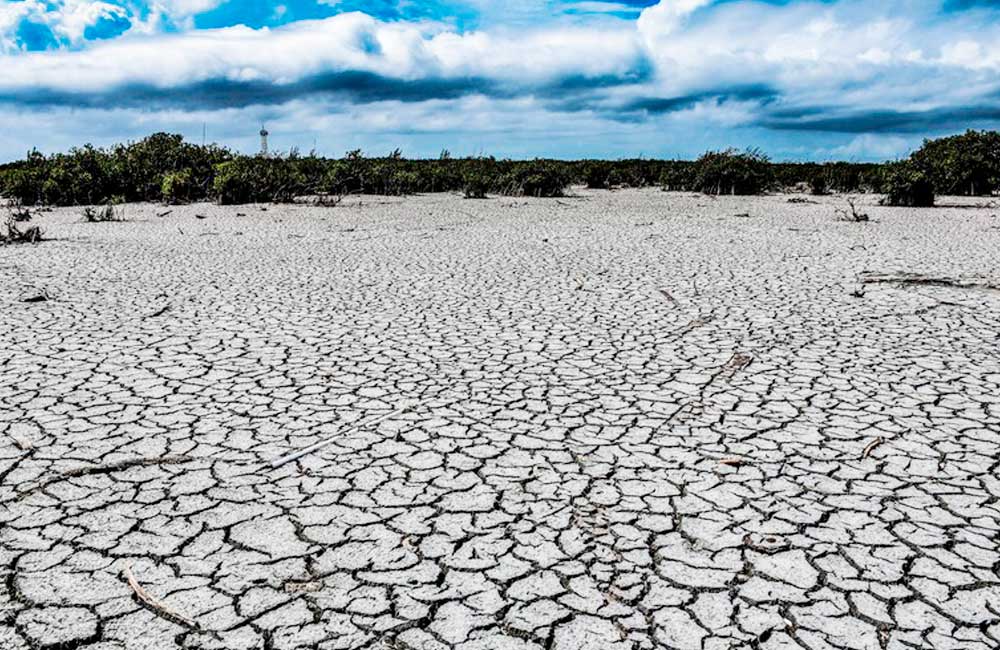 Sequías extremas devastan México; estados del norte los más afectados