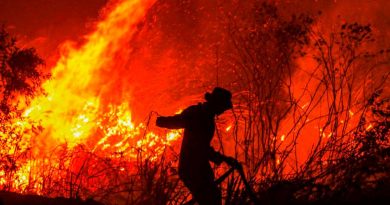 Incendios forestales azotan a miles de hectáreas de bosques o pastizales en México Incendios forestales azotan a miles de hectáreas de bosques o pastizales en México