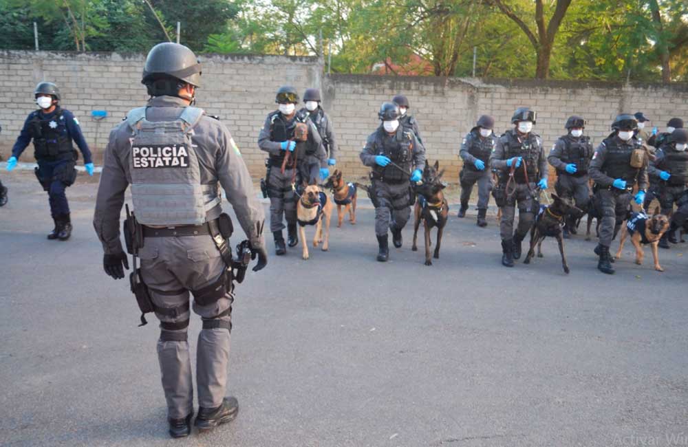 Cumple 20 años la Unidad Canina de la Policía Estatal