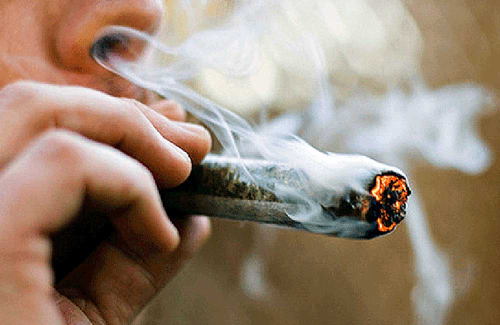 Da la Suprema Corte vía libre al uso recreativo de la mariguana en México