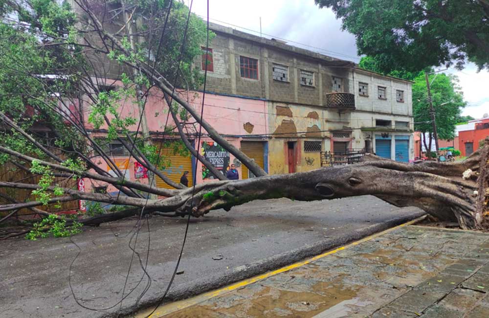 Tras fuertes lluvias la SSPO activó plan estatal de auxilio a la población