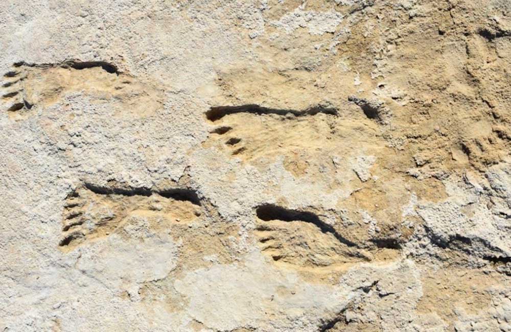 Descubren huellas en Nuevo México, indican presencia humana en América hace 23 mil años