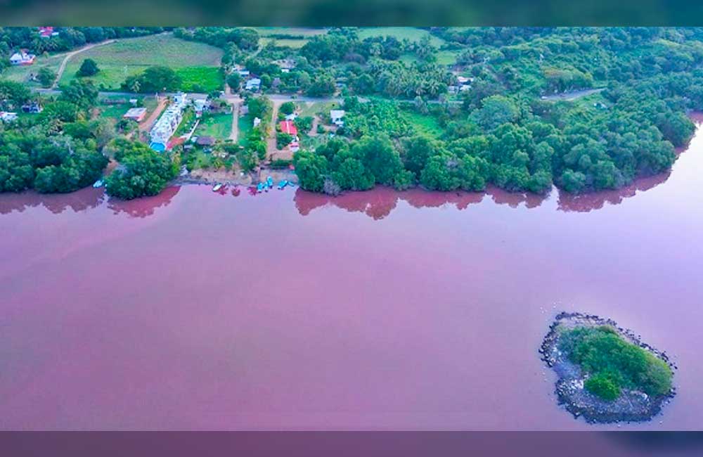 Denuncian a proyecto turístico que destruye humedales de la Laguna de Manialtepec