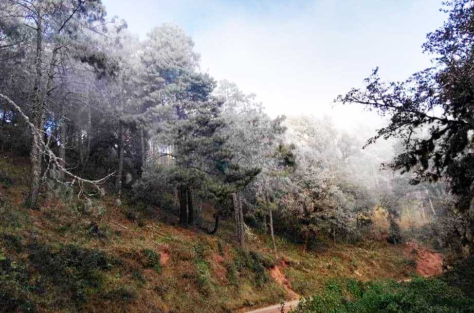 Alerta CEPCO por posibilidad de lluvias, lloviznas y nieblas en la Mixteca, Sierra Norte y Sierra Sur