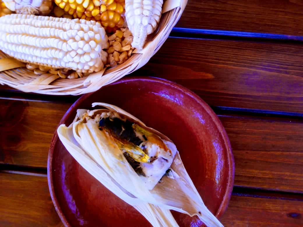 Cocineras tradicionales de Oaxaca comparten sus recetas de tamales, un platillo de celebración