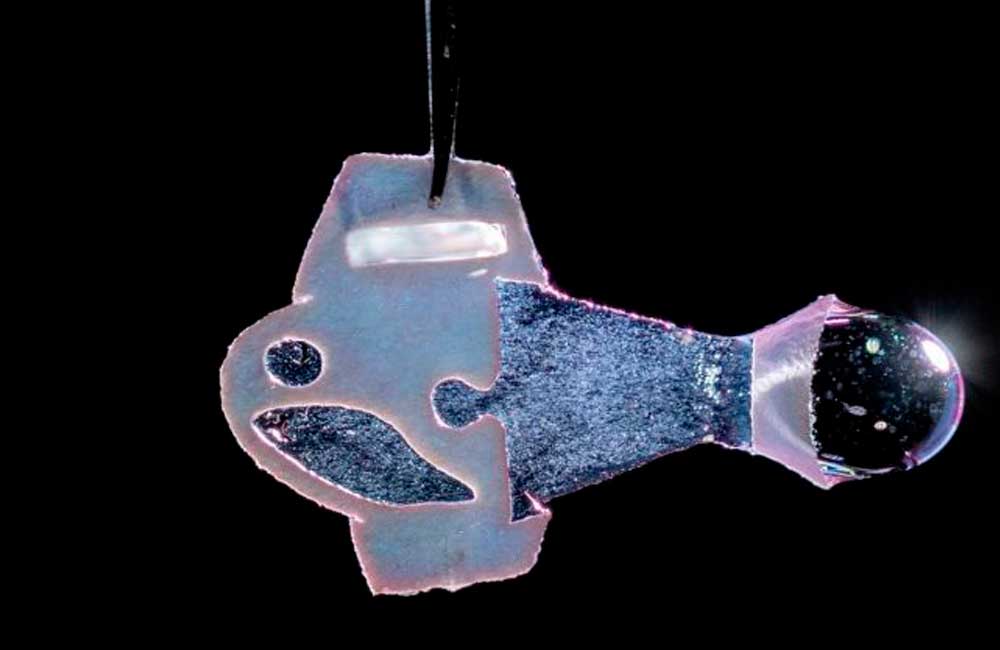 Desarrollan científicos un pez artificial para estudiar enfermedades cardíacas