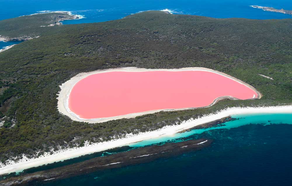 Lago de Australia se pigmenta de color rosa brillante; científicos han descubierto el porqué