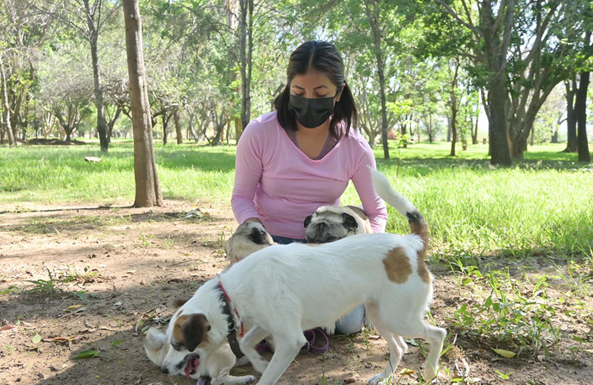 Cuatro parques públicos de Oaxaca ya son ¡Pet Friendly!