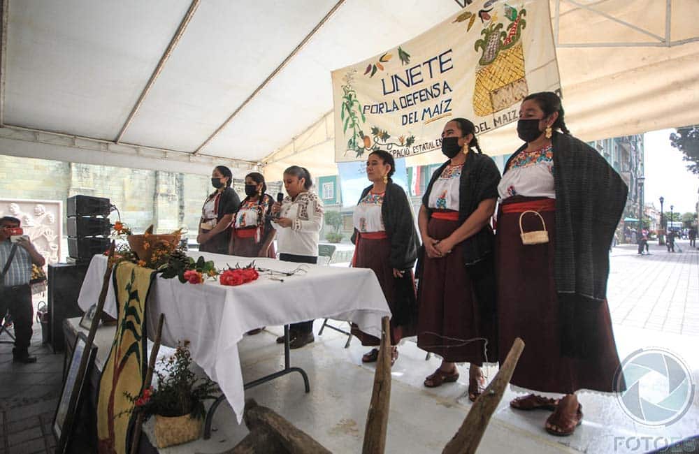 Activistas se pronuncian en Defensa del Maíz Nativo de Oaxaca