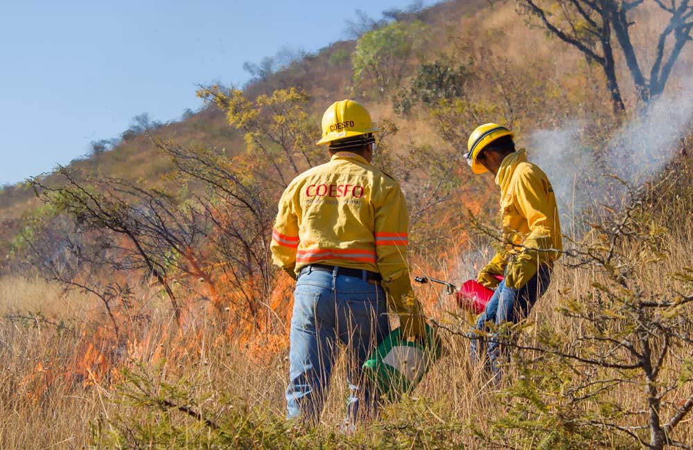 Realizan quema controlada para prevenir incendios en zona de Monte Albán