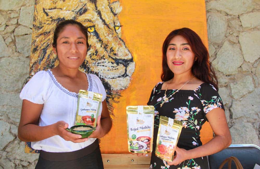 “Orgullo Oaxaca” impulsará empresas y emprendimientos en la entidad