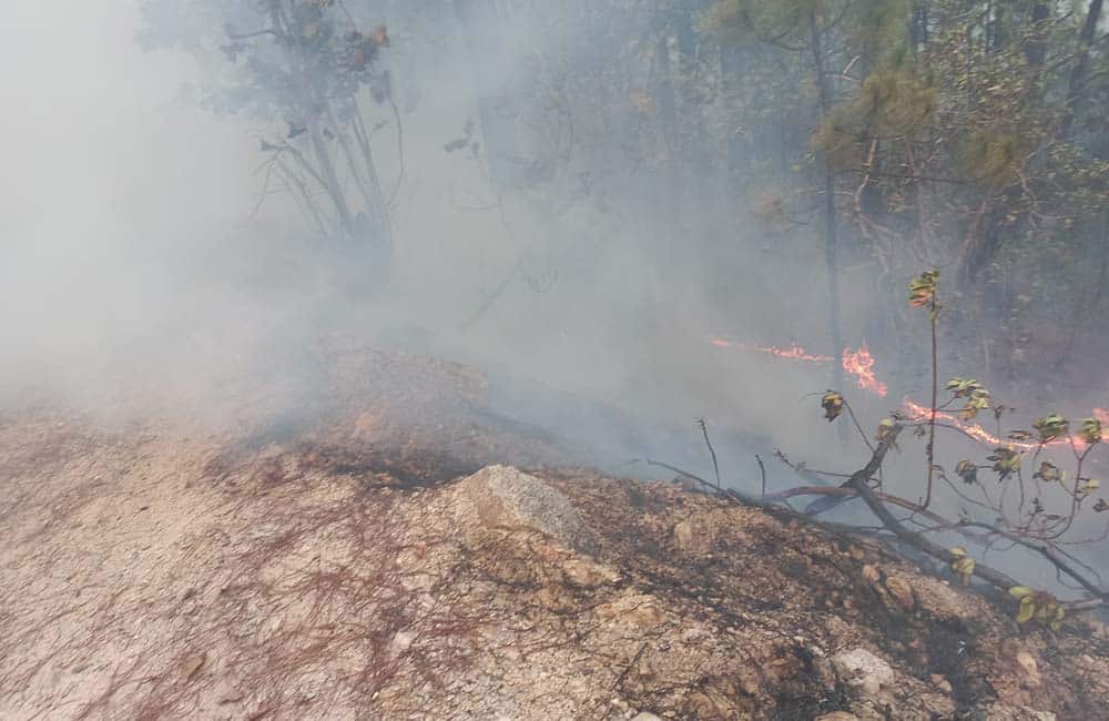 Por incendio forestal en la Mixteca, emite SSO recomendaciones a la población