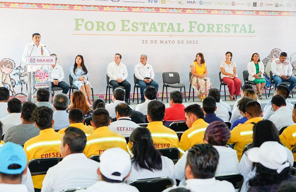 Recursos forestales, motor de desarrollo y bienestar para Oaxaca: Salomón Jara